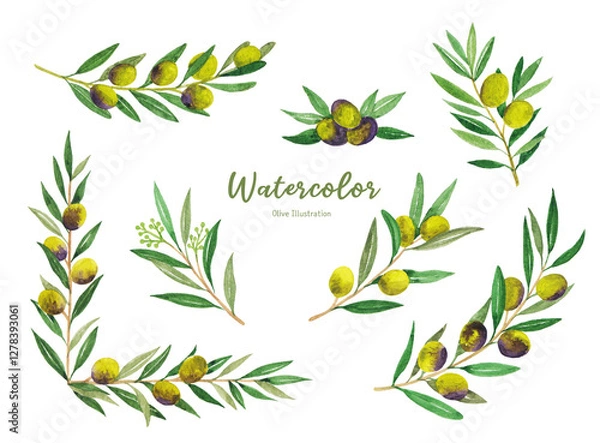 Fototapeta Watercolor olive branch hand drawing illustration