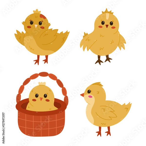 Fototapeta Cartoon set with lovely chick in different poses. Young baby chicken waving hello with wings, in the basket, side view. Cheerful hand drawn farm bird as symbol of Easter isolated on background.
