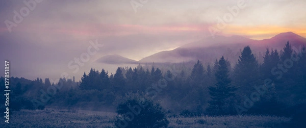 Obraz The Sentinel Emerges