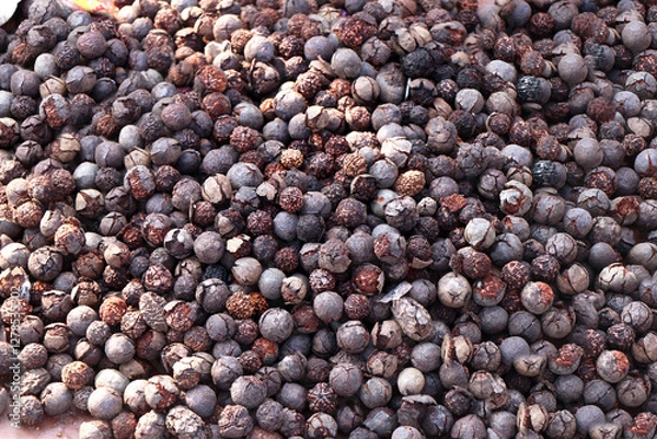 Fototapeta Rudraksha beads are the dried stones of the fruit of the Elaeocarpus ganitrus tree.