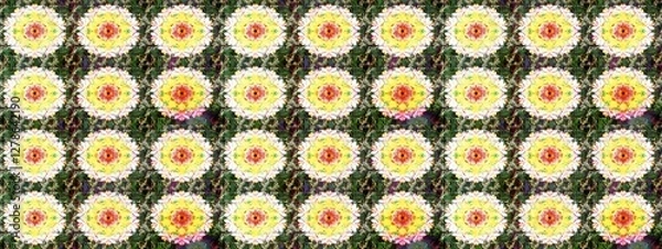 Fototapeta super abstract interesting cute and nice picture