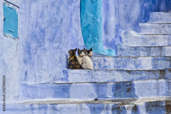 Obraz MAROKO FEZ CHAOUEN