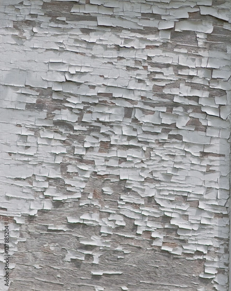 Obraz Wood Texture