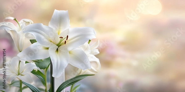 Obraz  White Easter Lily Flower in Soft Sunlight with Blurred Background