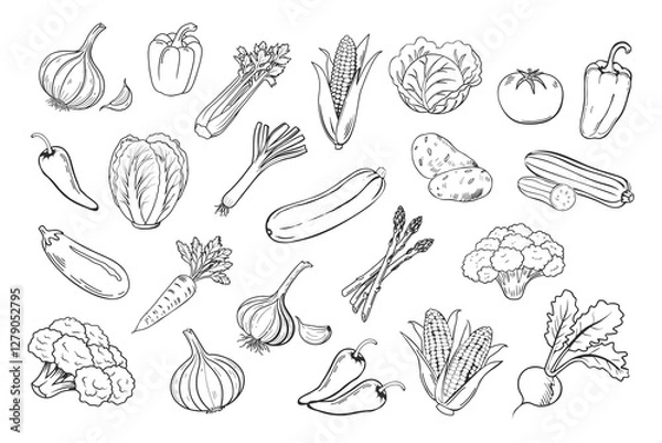 Fototapeta Sketch vegetables icons set. Collection of hand drawn farm product for restaurant menu, market label. Black and white illustration.