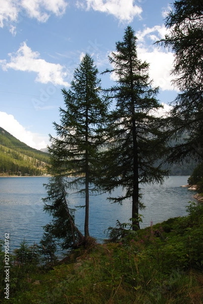 Obraz Piemonte - Italy