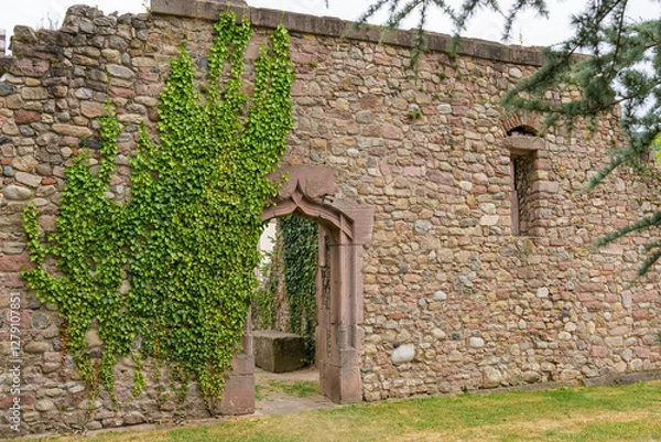 Fototapeta The ruins of an old abbey in Munster
