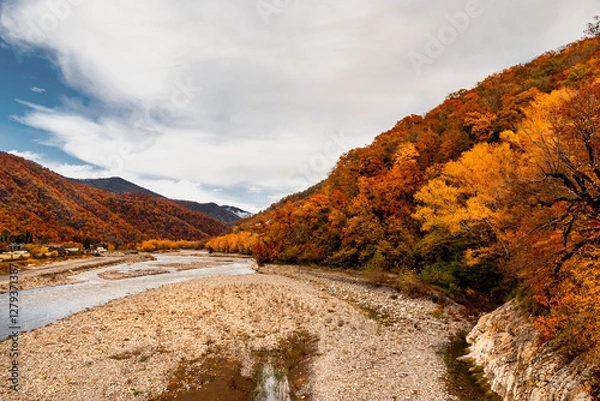 Fototapeta Mountain autumn landscape with a flowing river. Colorful forest with yellow crowns. Autumn forest and mountain river on a sunny day. Beautiful autumn landscape in the Foothills of the Caucasus.