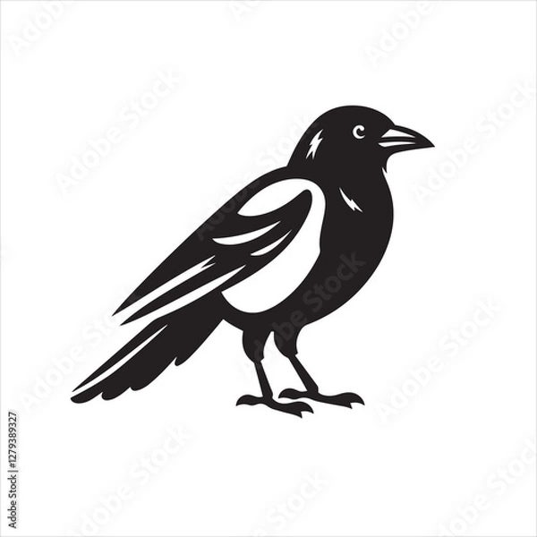 Obraz Vector magpie silhouette black and white