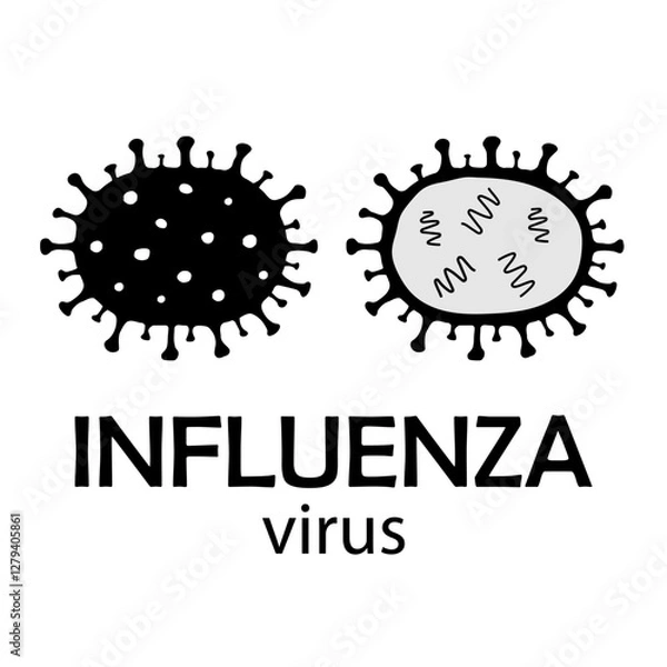 Fototapeta Vector icon of Influenza virus types A, B, C, D icons isolated on white background. Illustration of abstract model of Flu or grippe virus cell. Quarantine concept, flu outbreak. 