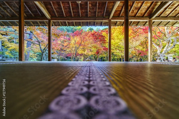 Obraz 京都　圓光寺の紅葉　その２