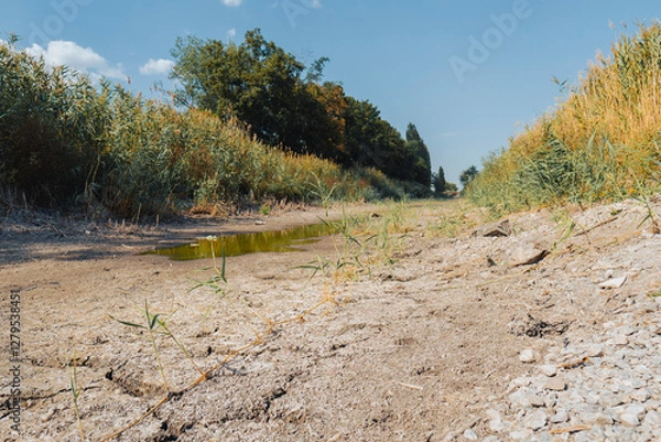 Fototapeta Dry river bed on a sunny summer day. Concept of climate change, drought and drying up of water bodies