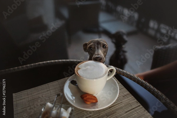 Obraz Dog in coffee