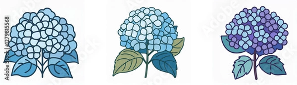 Fototapeta Three hydrangea flowers in blue and purple hues are illustrated, showcasing the delicate petals and leaves of this beautiful bloom.