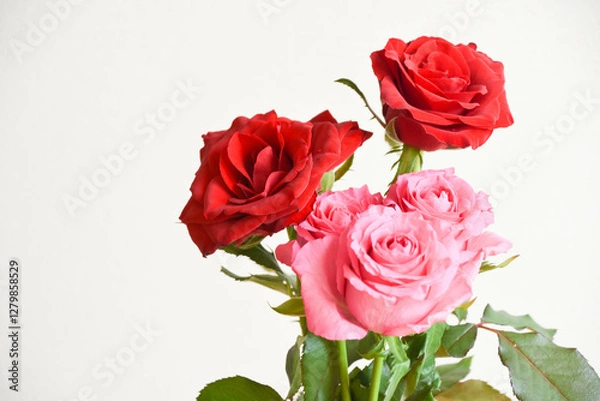 Fototapeta 赤とピンクのばら