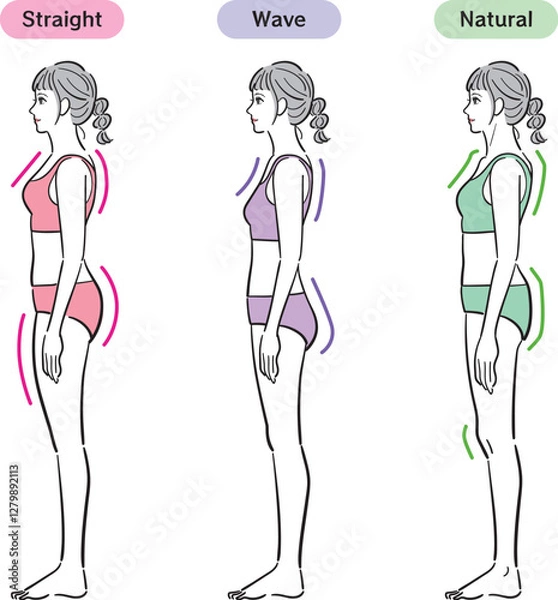 Obraz 骨格診断のイラスト（横）