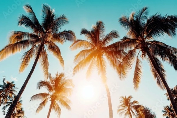 Fototapeta Tropical Paradise with Coconut Trees Under Bright Blue Sky and Sunlight Reflecting on Lush Green Leaves in Beautiful Vacation Destination