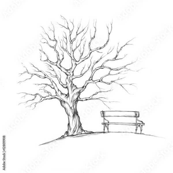 Obraz Baum ohne Blätter mit romantischer Bank