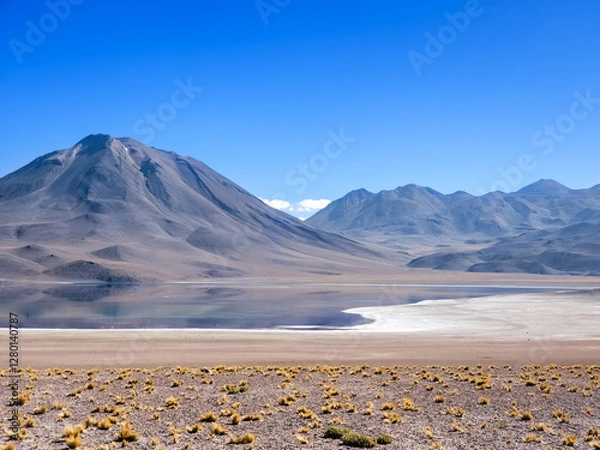 Obraz Atacama desert in Chile