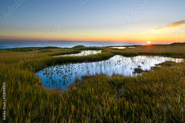 Obraz 弥陀ヶ原の沼と朝日　（月山八合目）