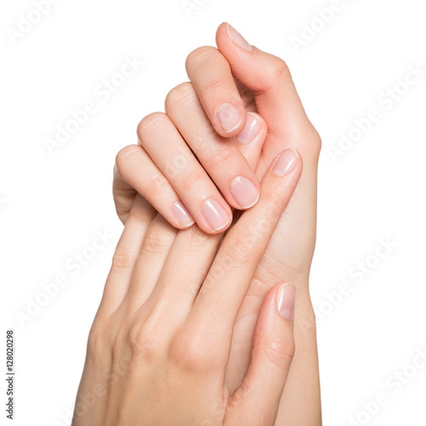 Fototapeta Kobiece dłonie z schludnym manicure. Na białym tle