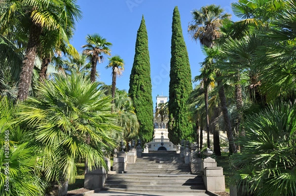 Fototapeta The arboretum in Sochi