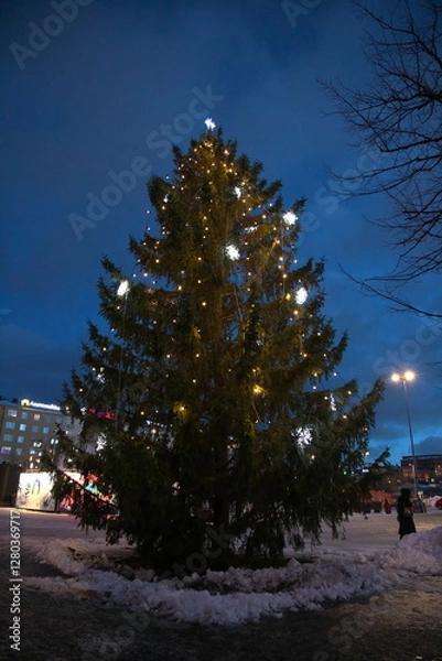 Obraz 本物のクリスマスツリーフィンランド