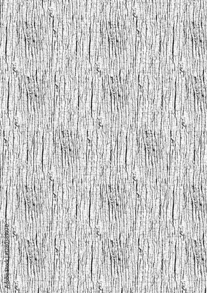 Obraz old wood texture