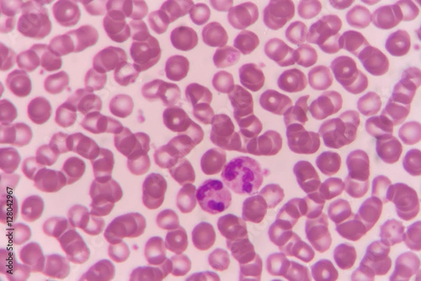 Obraz Rouleaux formation