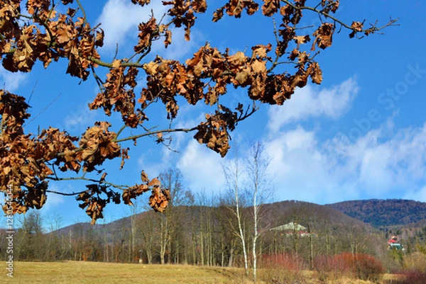 Obraz Autumn leaves on the  blurred trees mountains landscape. Fall background.