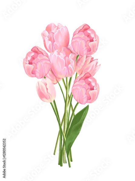 Obraz bouquet of pink tulips. Handdrawn Peony tulips symbol of the eighth of March, transparent background isolated 
