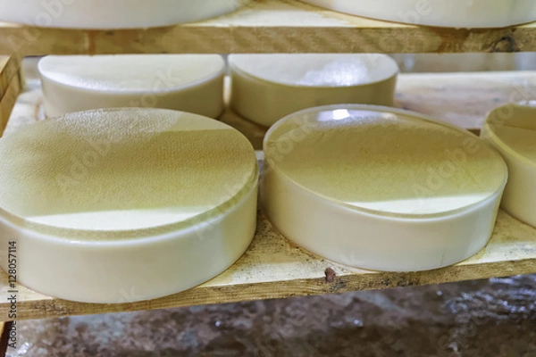 Fototapeta Young Cheese in maturing cellar Franche Comte creamery