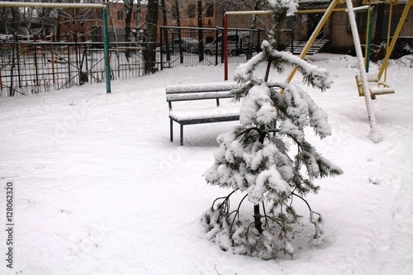 Fototapeta Snowy tree in the yard