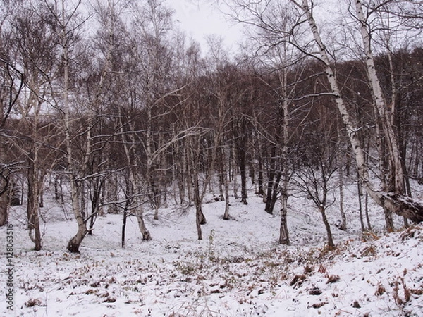 Fototapeta 冬の里山