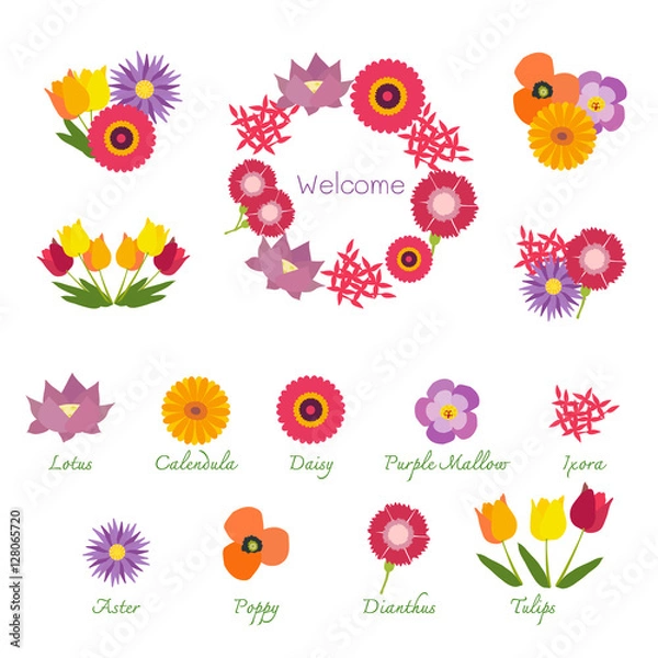 Obraz Tropical Flowers Isolated with Names, Showing in Bouquets and a Garland