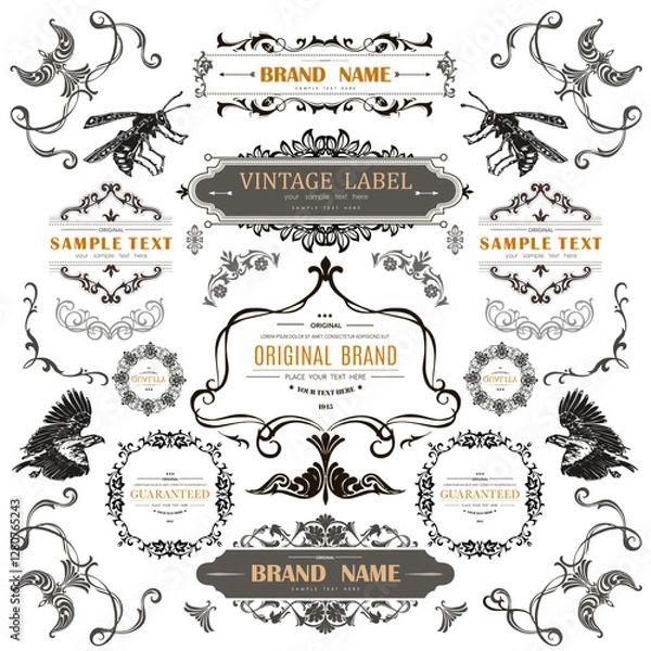 Obraz Set of Vintage Decorations Flourishes Elements. 