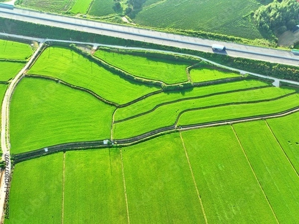 Obraz 농촌의 논과 밭 풍경