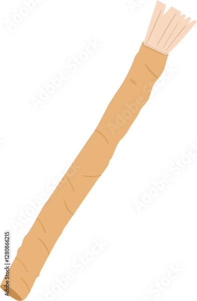 Fototapeta Siwak or miswak organic toothbrush isolated vector 