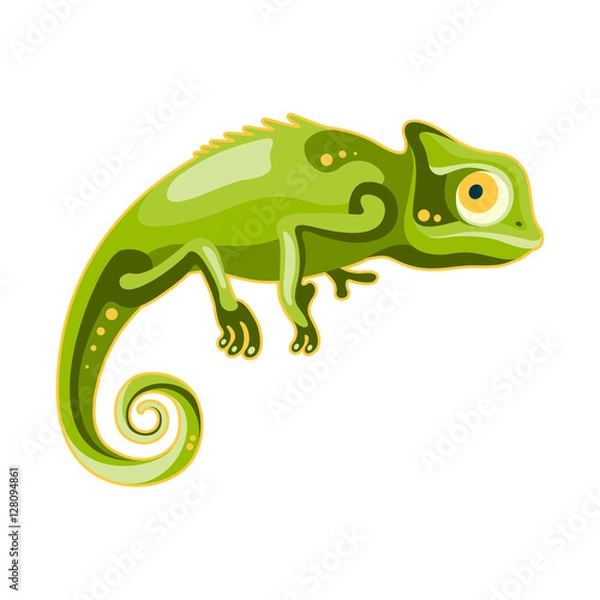 Obraz zielony kameleon na białym tle