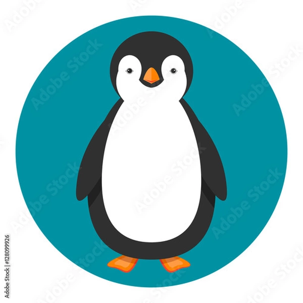 Obraz penguin