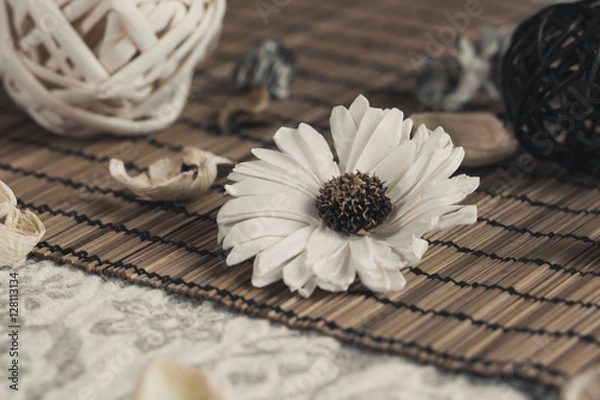 Obraz Цветок в натюрморте