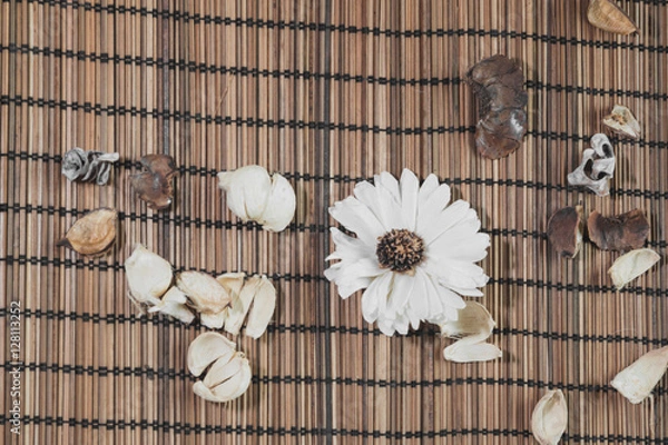 Obraz Натюрморт на бичевке