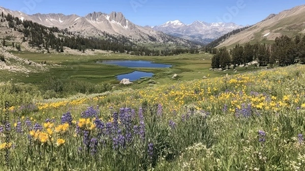 Fototapeta Mountain Lake Meadow Wildflower Landscape Scene
