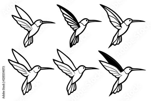 Fototapeta Elegant Hummingbird Vector Set