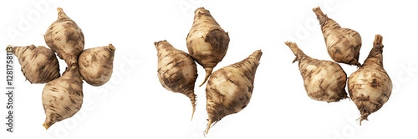 Fototapeta Set of Close-up of maca roots with a rough, textured surface, placed on a dark, moody background with soft on transparent png background. Ai generated