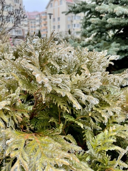 Obraz tree in the snow