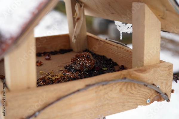 Fototapeta A close-up photo of a bird feeder containing birdseed and a suet ball.
