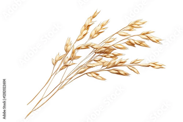 Obraz wheat ears isolated on white