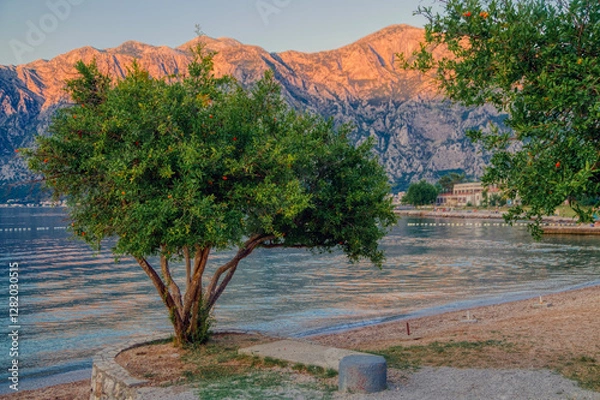 Fototapeta Beach with a lonely tree against mountains in sunrise light