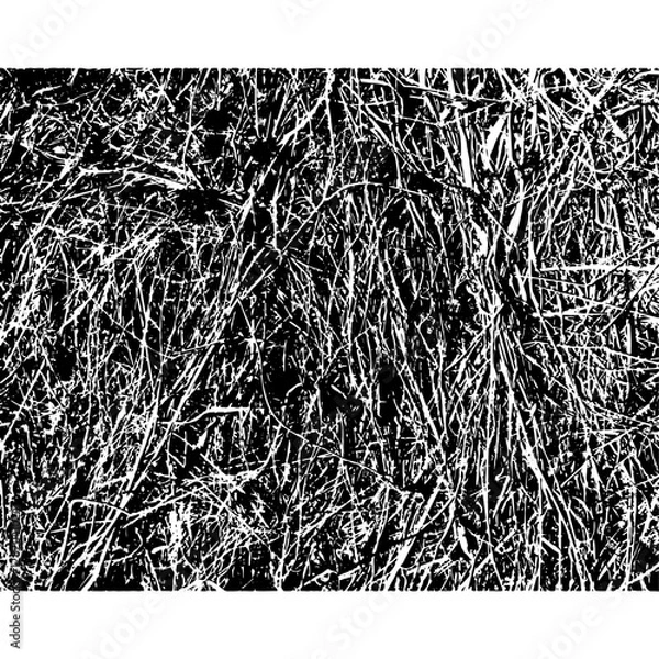 Obraz Dry grass, background, texture №1